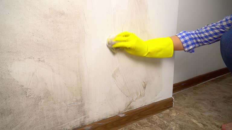 Best Water Damage & Mold Remediation  in Grayson, CA