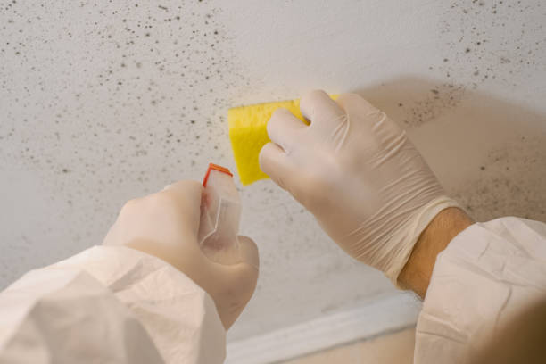Best Post-Remediation Verification Testing  in Grayson, CA