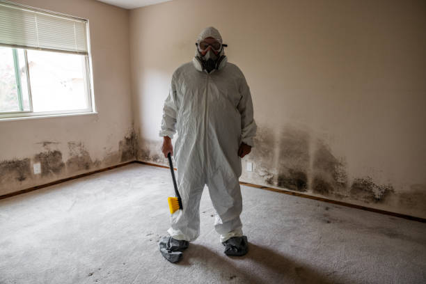 Biohazard Mold Removal in Grayson, CA